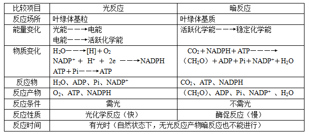 车针是什么意思