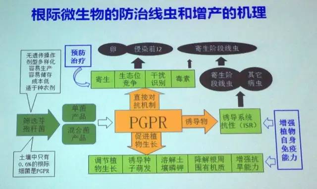 简述钾肥鉴定过程