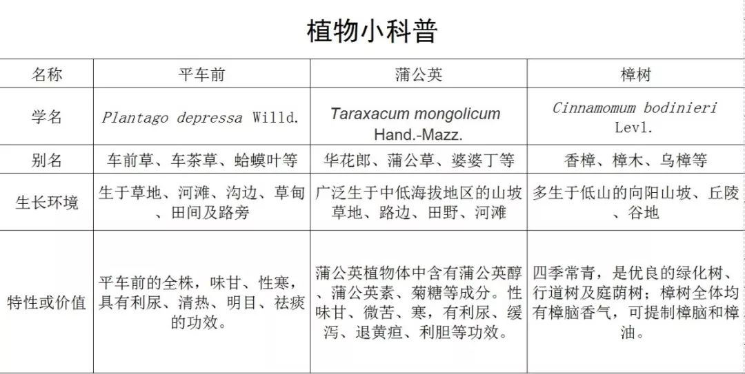 管帽作用