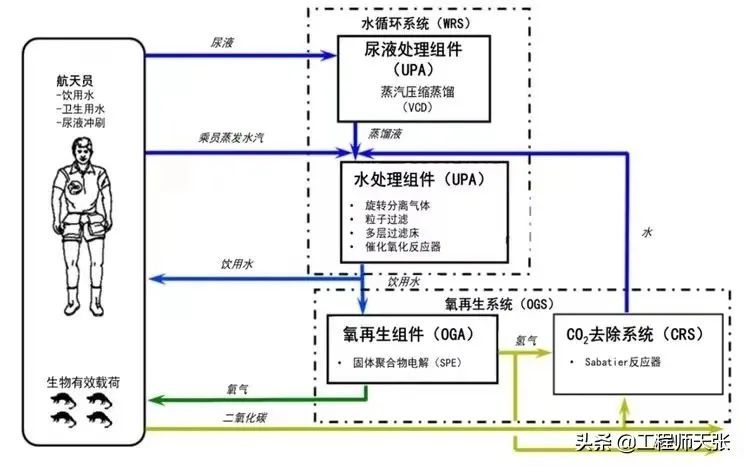 保温效果与温差,关于保温效果与温差的研究及其在完善系统评估中的应用,数据解析导向设计_WP92.65.92