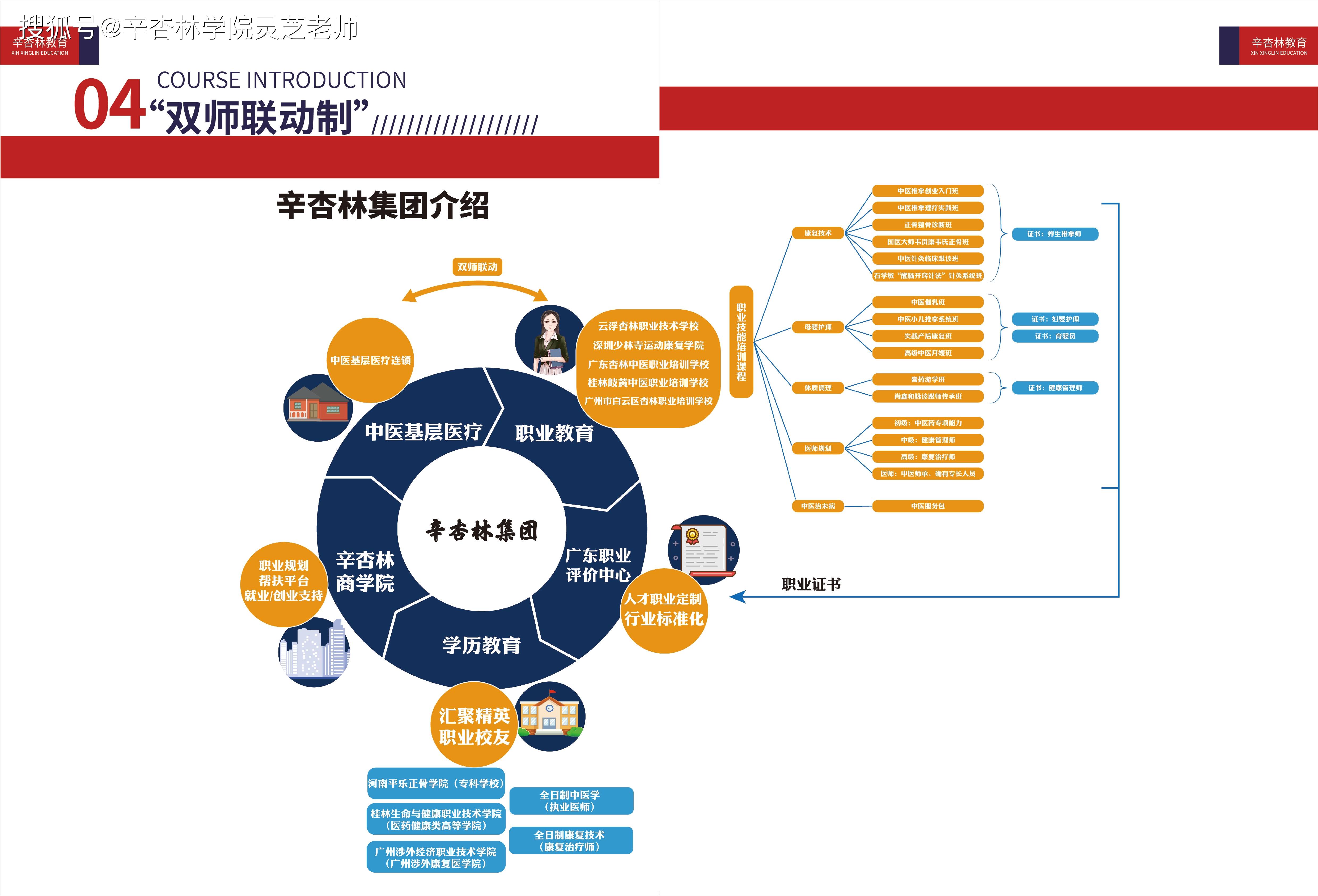 培训推拿学校,培训推拿学校，定义、综合分析与解释,战略性实施方案优化_专属款84.17.36