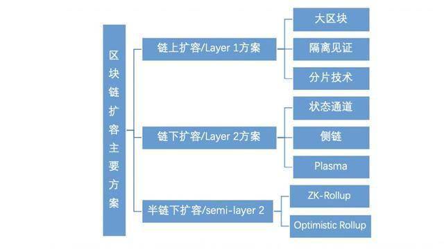 试管的流程和费用