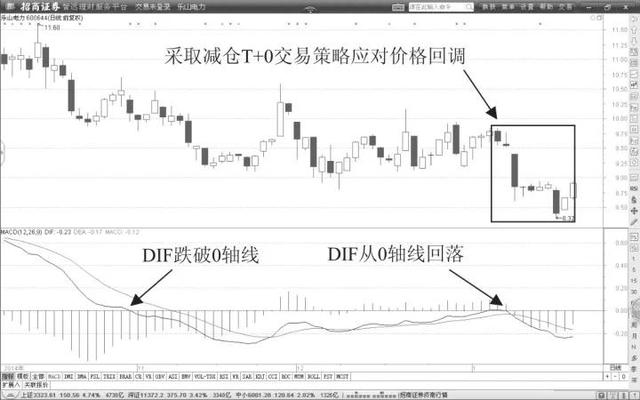 上海生工引物合成,上海生工引物合成，准确资料解释定义,可靠性执行策略_英文版73.79.98