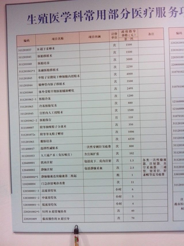 泰国试管婴儿费用多少人民币,泰国试管婴儿费用深度解析，费用多少人民币及策略数据应用探讨,数据解析导向设计_3DM31.28.79