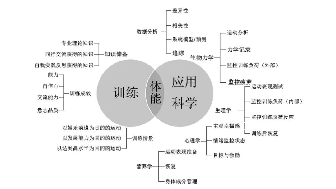 体育的孩子,体育的孩子，专家分析解释定义与未来展望,多元方案执行策略_VR版56.51.34