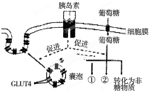 熨斗合成纤维多少度,熨斗合成纤维的精确温度解析，一场冒险探索之旅,数据设计驱动解析_YE版37.77.19