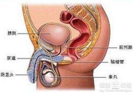 中医治疗前列腺肥大有效果吗,中医治疗前列腺肥大，综合性计划评估与效果探讨,科学研究解释定义_MR73.65.41