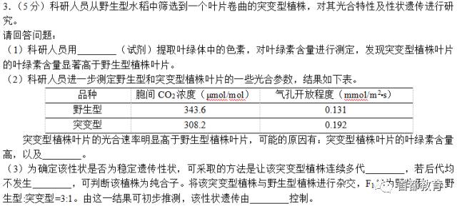 回力分析报告