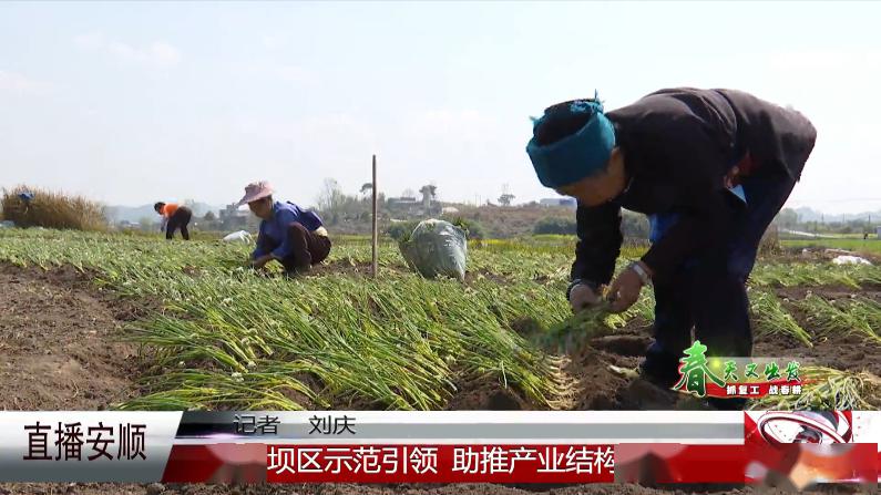 南川中图村今年种粮赚了54万元