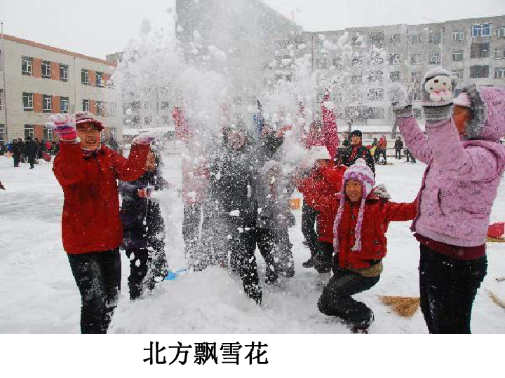 哈尔滨街头天降雪王方阵，一场独特的冬季文化盛宴的解析说明（续版28.27.83），快速方案执行指南_yShop75.531