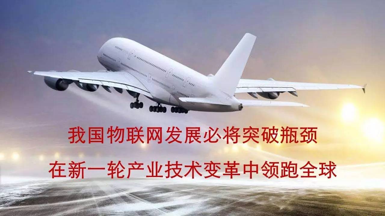 航空专家称鸟撞导致恶性事故较为罕见