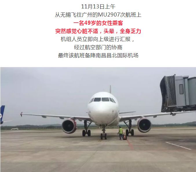 西藏航空一航班遭遇鸟击返航事件及实地执行考察方案的深度解析，实地设计评估解析_高级版65.57.46