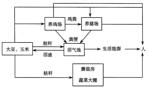 河南农村用上水泥“预制房”