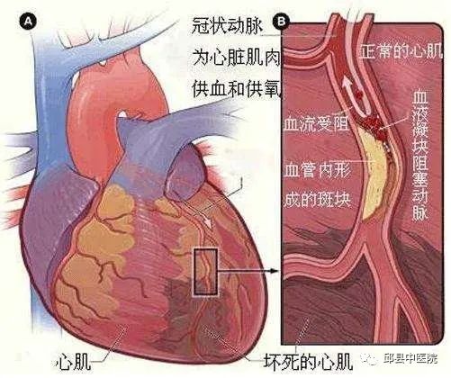 年轻人熬夜会长老年斑？流言