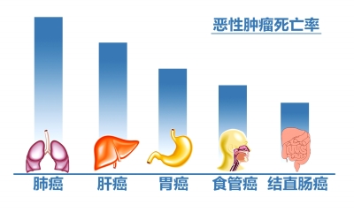 遇难韩国妈妈患癌1年刚旅行归来