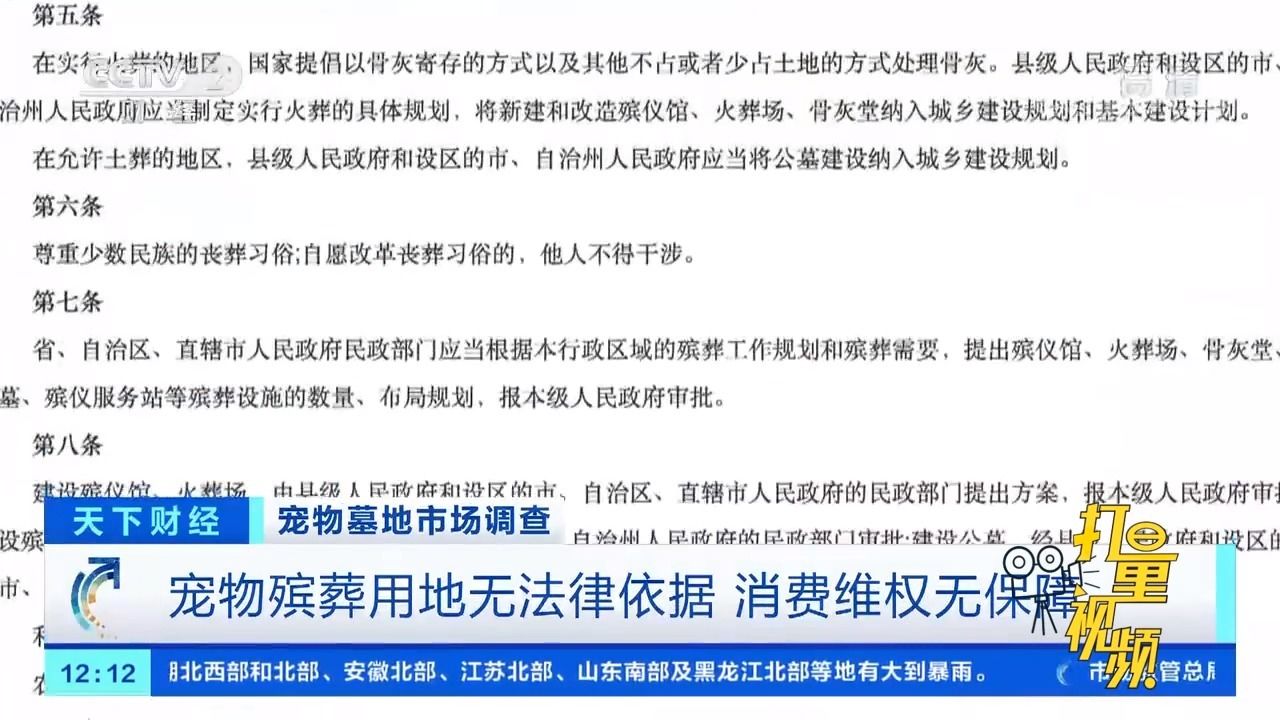 高价宠物殡葬收费达万元，现状解析与说明，实时解答解释定义_新版本31.54.30