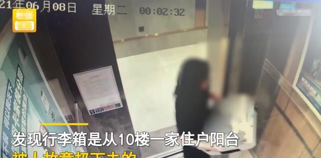 女子与男友吵架情绪激动，四楼扔行李箱被刑拘——全面数据应用分析与专业款应用探讨，全面应用数据分析_玉版38.83.68