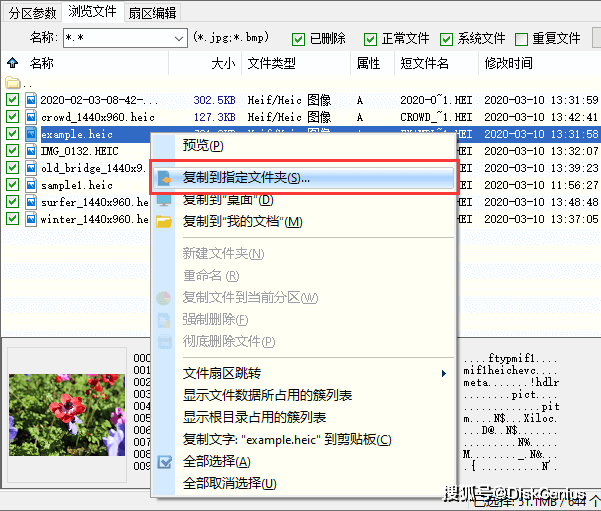 网易樱花工作室官网疑似关闭