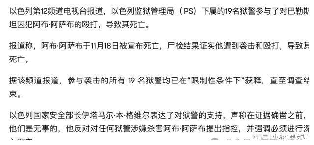 关于以色列军在加沙展开行动及适用性计划解读的分析报告（WP版73.20.30），全面执行计划数据_版筑13.16.13