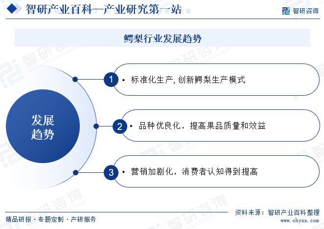 澳门今晚开什么码2025年的