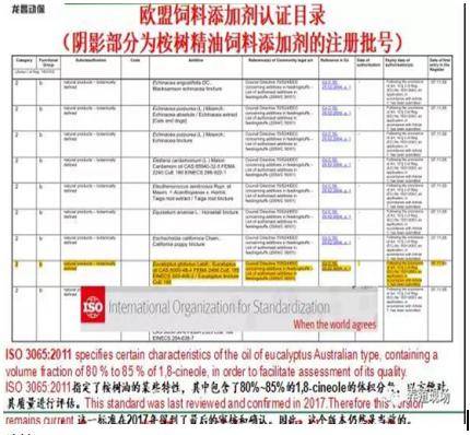 新奥门开奖记录查询2025年份