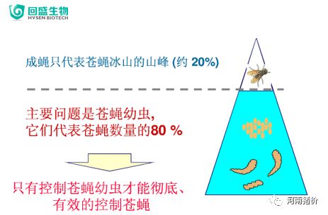 管家婆免费版官网